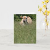 ハシバミ カード (黄色い花)