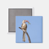 ハシバミ マグネット (正面/裏面)