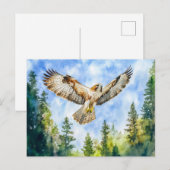 ハシボソガラスが松林の上を飛ぶ水彩画 ポストカード (正面/裏面)