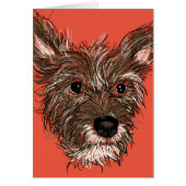 ハジープ (正面)