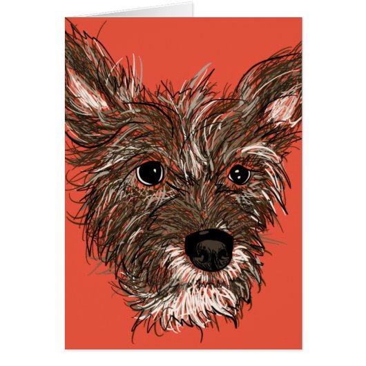 ハジープ (正面)