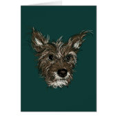 ハジープ (正面)