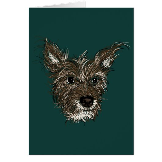 ハジープ (正面)