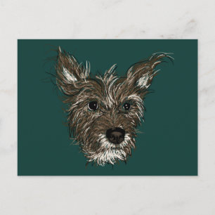 ハジープ ポストカード