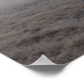 ハジー放牧 ポスター (角)