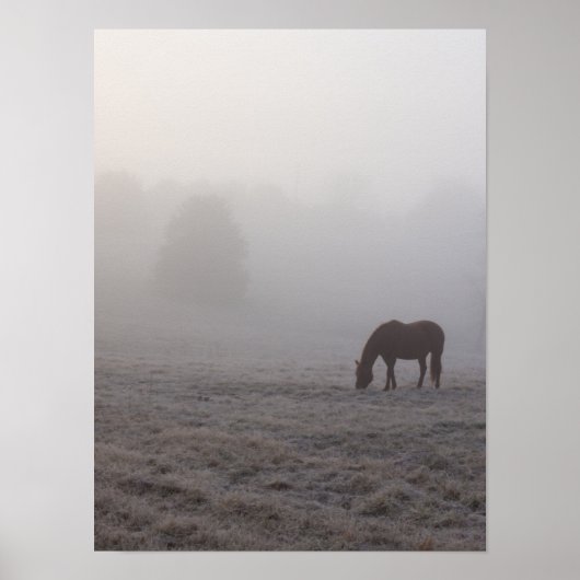 ハジー放牧 ポスター (正面)