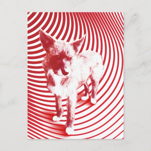 ハジ熱狂するー ポストカード (正面)