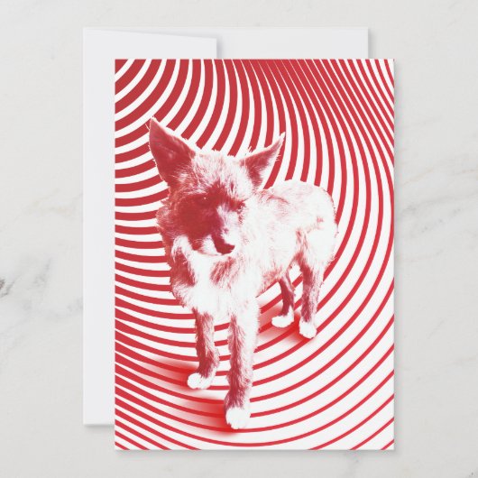 ハジ熱狂するー 招待状 (正面)