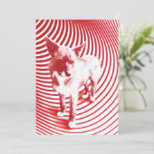 ハジ熱狂するー 招待状 (スタンド正面)