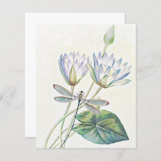 ハスとトンボ (正面/裏面)