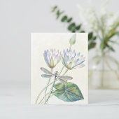 ハスとトンボ (スタンド正面)