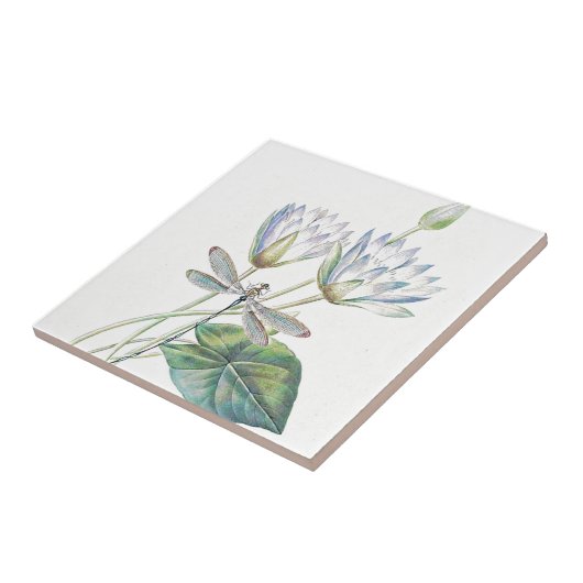 ハスとトンボ タイル (側面)