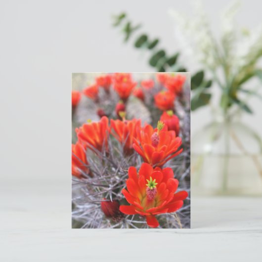 ハスのような赤い花 クレマートカップ ポストカード (スタンド正面)