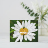 ハスのキス バースデー バレンタイン ラブ グリーティング ポストカード (スタンド正面)