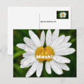 ハスのキス バースデー バレンタイン ラブ グリーティング ポストカード (正面/裏面)