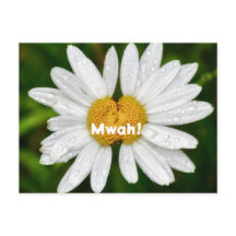 ハスのキス バースデー バレンタイン ラブ グリーティング