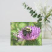 ハスの上の蜂 ポストカード (スタンド正面)