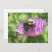 ハスの上の蜂 ポストカード (正面/裏面)