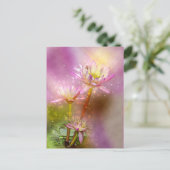 ハスの水、エキゾチックな植物、 ポストカード (スタンド正面)