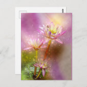 ハスの水、エキゾチックな植物、 ポストカード (正面/裏面)