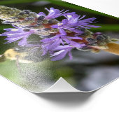 ハスの花とキイロスズメバチ フォトプリント            (角)