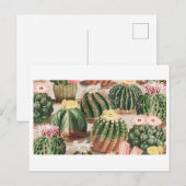 ハスの花のポストカード ポストカード (正面/裏面)