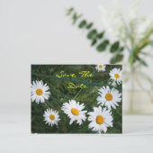 ハスの花のポストカード 案内ポストカード (スタンド正面)