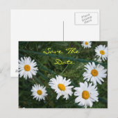 ハスの花の輪のポストカード 案内ポストカード (正面/裏面)