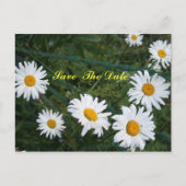 ハスの花の輪のSave The Date ポストカード (正面)