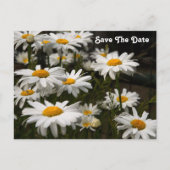 ハスの花のSave The Date ポストカード (正面)
