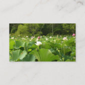 ハスの花畑 名刺 (裏面)