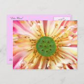 ハスの花 ポストカード (正面/裏面)