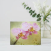 ハスの葉のポストカード ポストカード (スタンド正面)