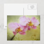 ハスの葉のポストカード ポストカード (正面/裏面)