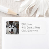 ハスキドッグ差出人住所ラベル ラベル (インサイチュ)