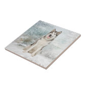 ハスキーなコースターのタイル タイル (側面)