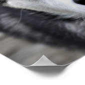 ハスキーな子犬のポスター ポスター (角)