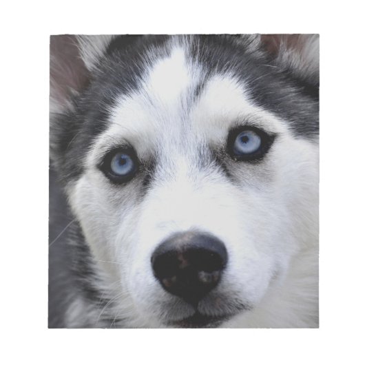 ハスキーな子犬のメモ帳 ノートパッド (正面)