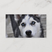 ハスキーな子犬の名刺 名刺 (裏面)