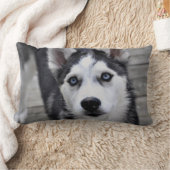 ハスキーな子犬の枕 ランバークッション (ブランケット)