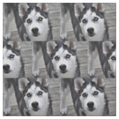ハスキーな子犬 ファブリック (見本)