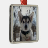 ハスキーな犬の子犬の屋外のポートレート メタルオーナメント (右)