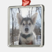 ハスキーな犬の子犬の屋外のポートレート メタルオーナメント (左)