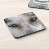 ハスキーな青い目のコースター コースター (左側)