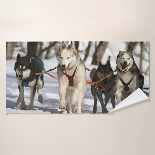 ハスキーのそりドッグレース バスタオル (バスタオル)