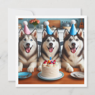ハスキーのカード、ハスキーの写真カード、ハスキー犬の誕生日 招待状