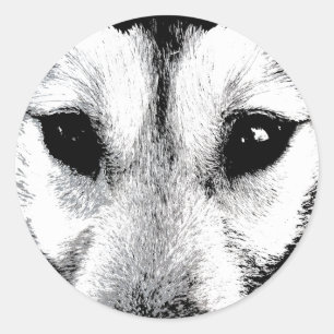 ハスキーのステッカーSilian Husky Wolf Pupステッカー ラウンドシール