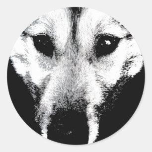 ハスキーのステッカーSilian Husky Wolf Pupステッカー ラウンドシール