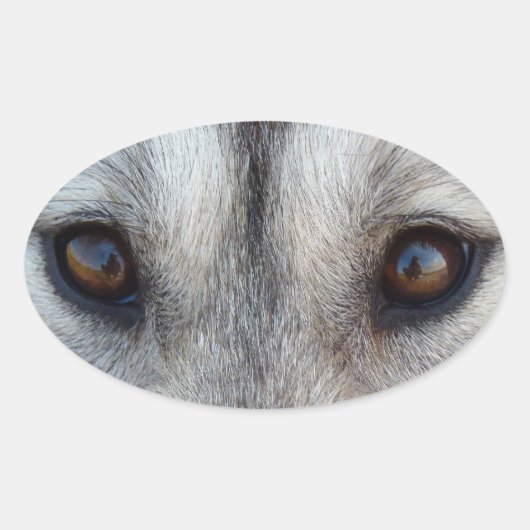 ハスキーのステッカーSilian Husky Wolf Pupステッカー 楕円形シール (正面)