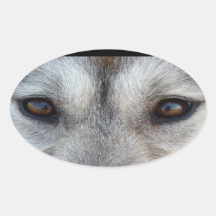 ハスキーのステッカーSilian Husky Wolf Pupステッカー 楕円形シール